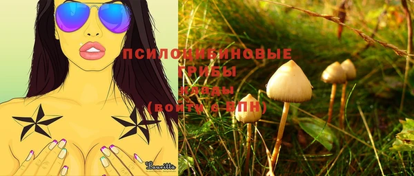 мдпв Медвежьегорск