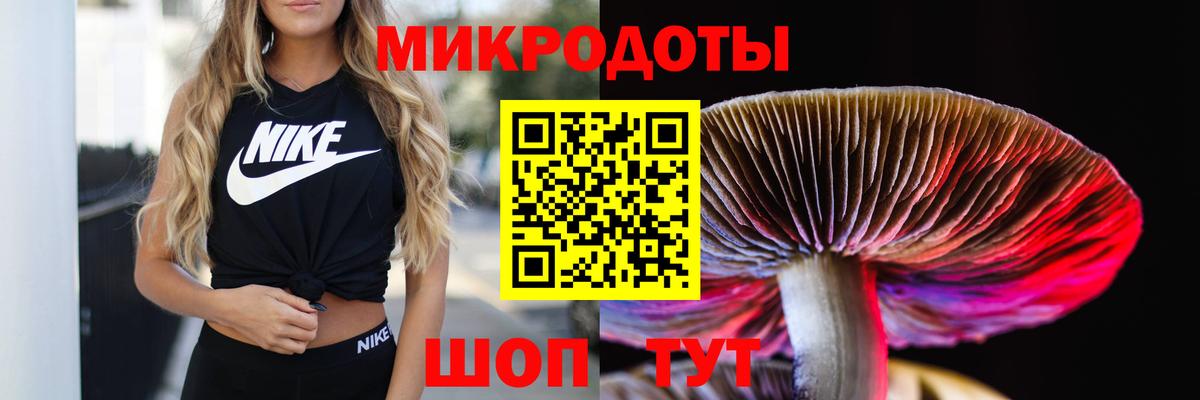 Галлюциногенные грибы Cubensis Нефтекумск
