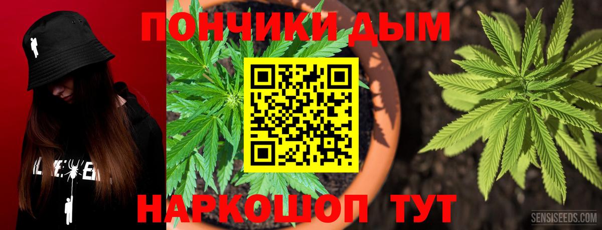 Канабис Ganja  Шишки марихуана план  Нефтекумск  Вход с VPN 